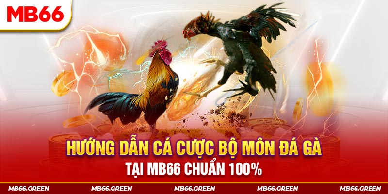 51live slot là gi