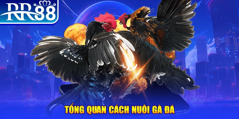 51live game nổ hũ rút tiền mặt là gì