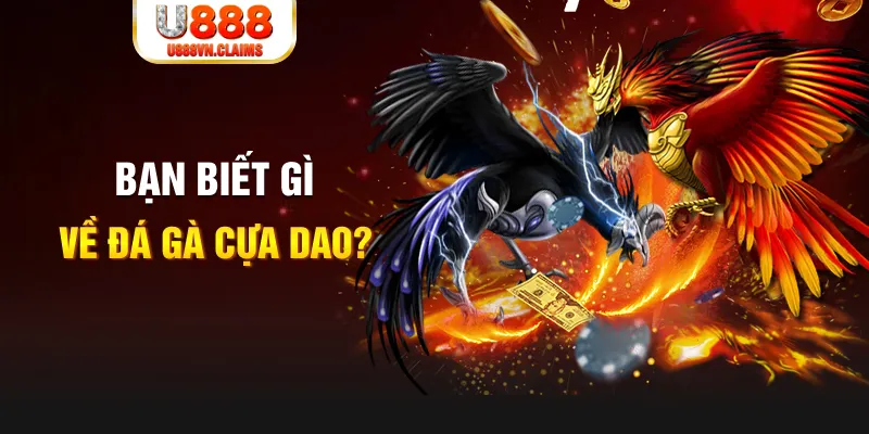 51live SW Xổ Số