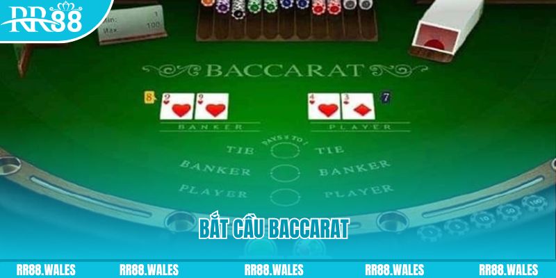 51live what are the best online casino games