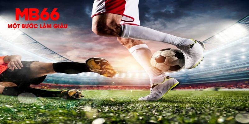 51live trực tiếp đá gà thomo