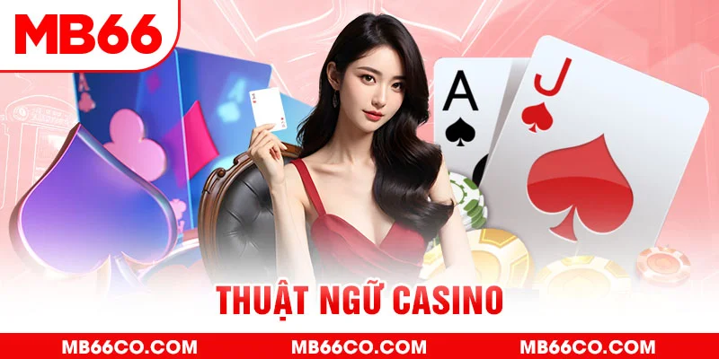 51live gà chọi c1 mới nhất