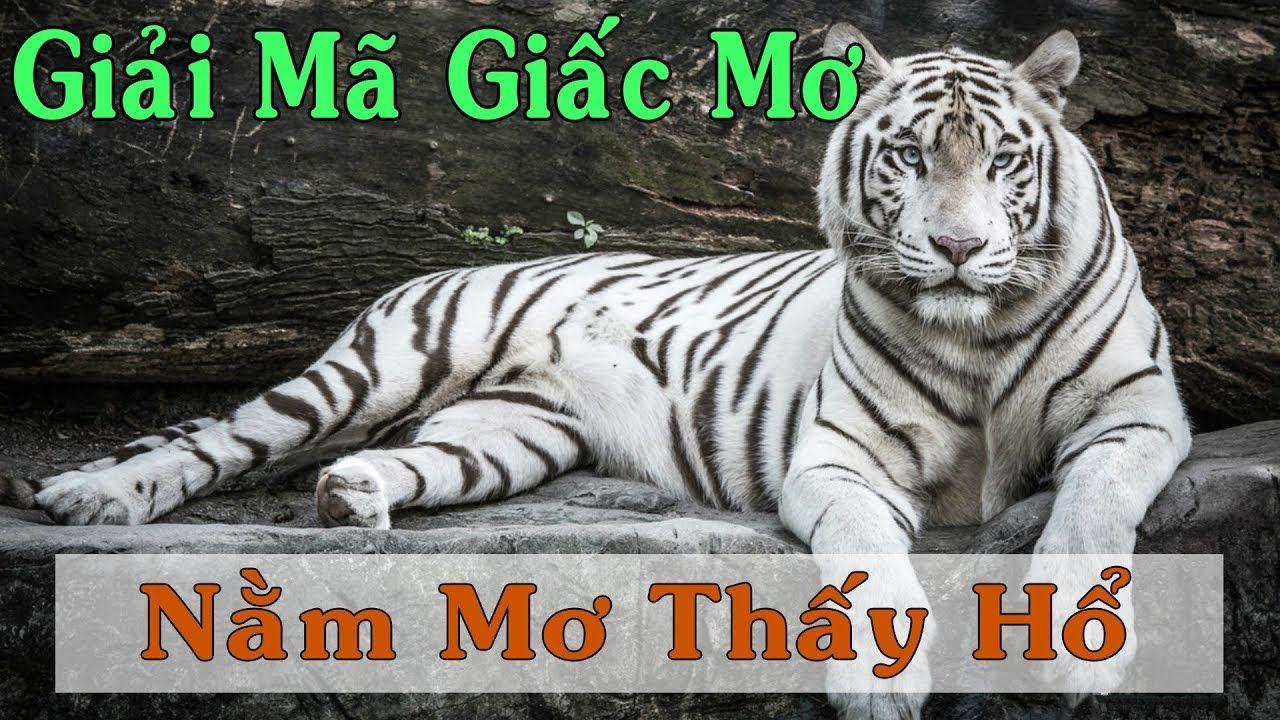 51live nổ hũ là game gì