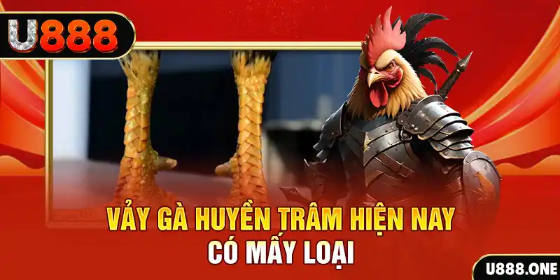 51live xổ số bình định