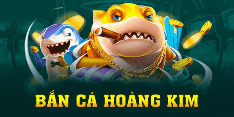 51live gà chọi cậu thanh