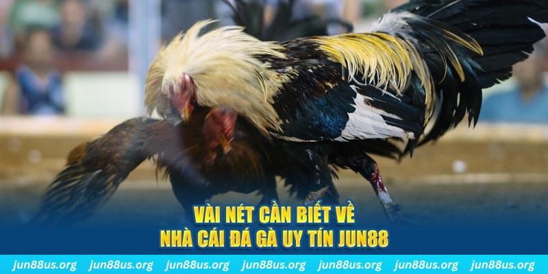 51live đăng nhập phỏm khuyến mãi