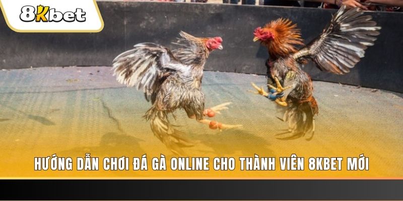 51live JILI Game Bài 3d