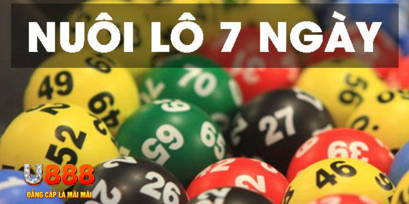 51live đăng nhập mậu binh tặng tiền