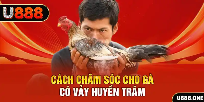 51live bắn cá xèng 3