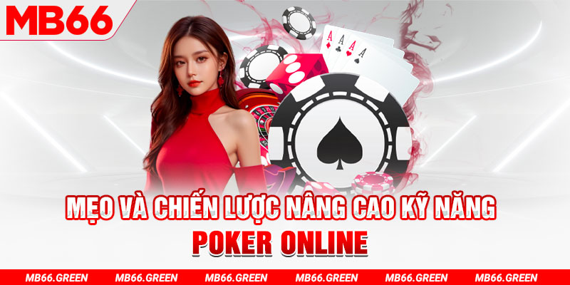 51live chổi lông gà