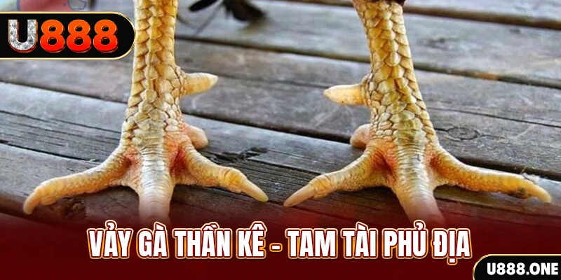 51live xổ số miền trung thứ hai hàng tuần