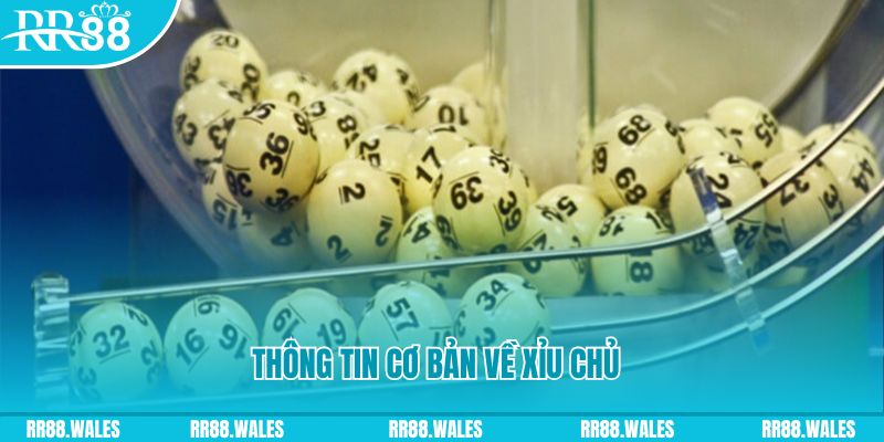 51live how to win at slot machines