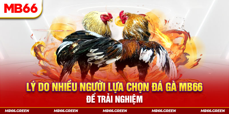 51live đăng nhập liêng trực tiếp
