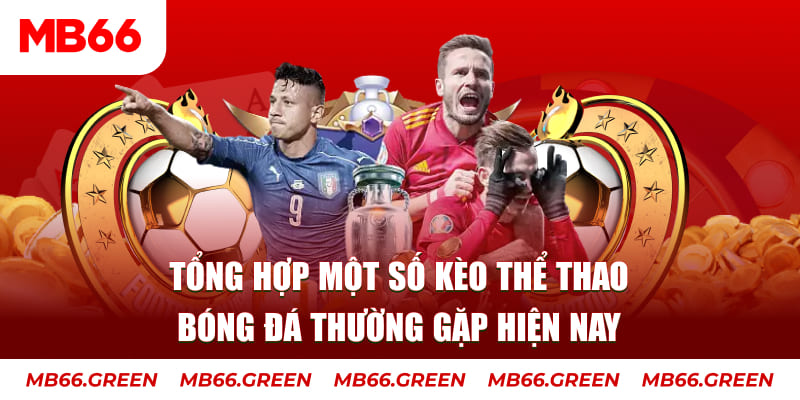 51live người chia bài trong casino gọi là gì
