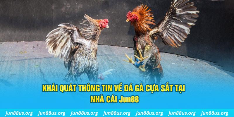 51live xổ số miền bắc thứ bảy hàng tuần