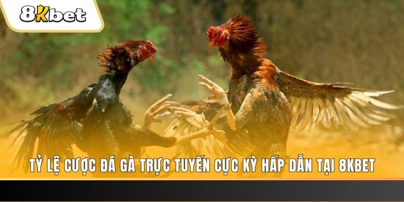 51live đăng nhập mậu binh online
