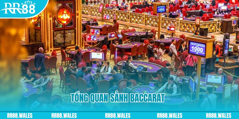 51live đăng nhập roulette