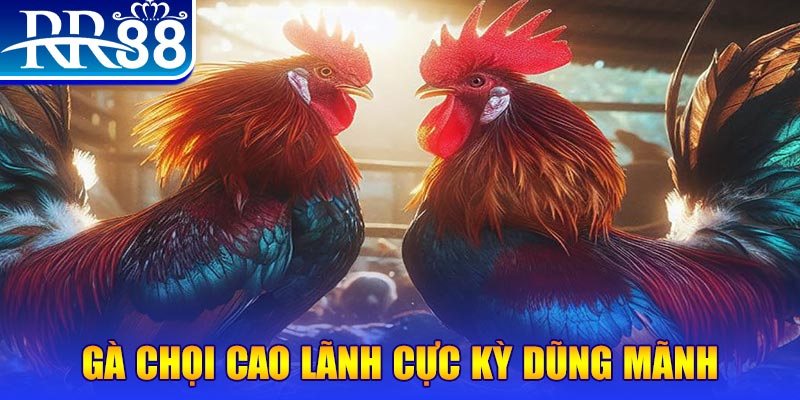 51live HB Điện Tử