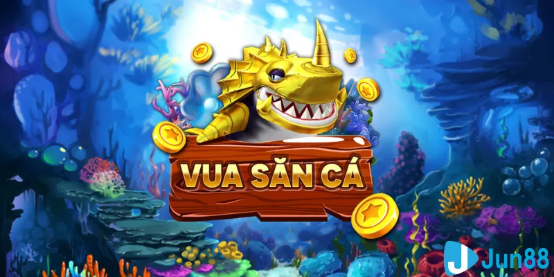 51live casino hồ tràm có cho người việt vào không