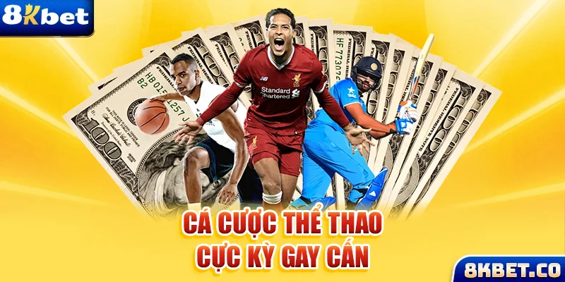 51live xem đá gà trực tiếp